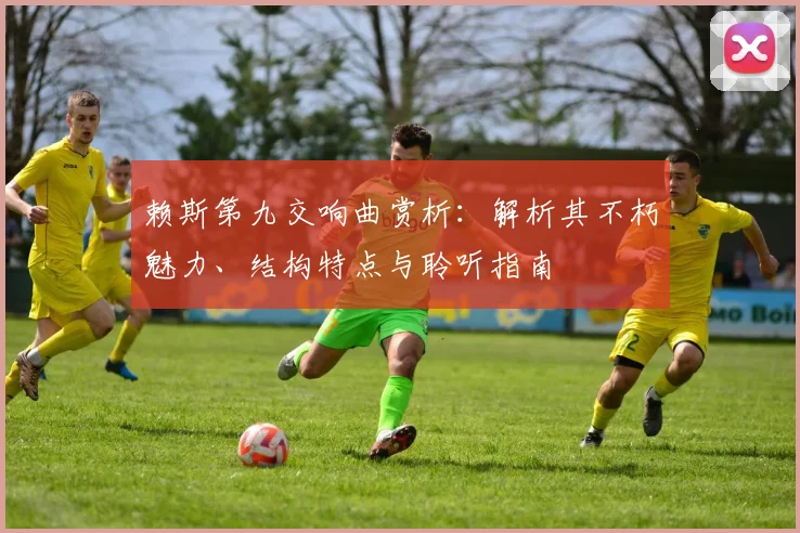 赖斯第九交响曲赏析：解析其不朽魅力、结构特点与聆听指南