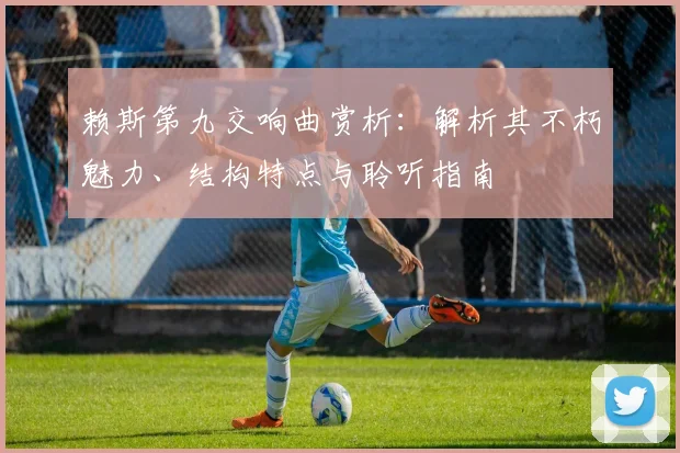 赖斯第九交响曲赏析：解析其不朽魅力、结构特点与聆听指南